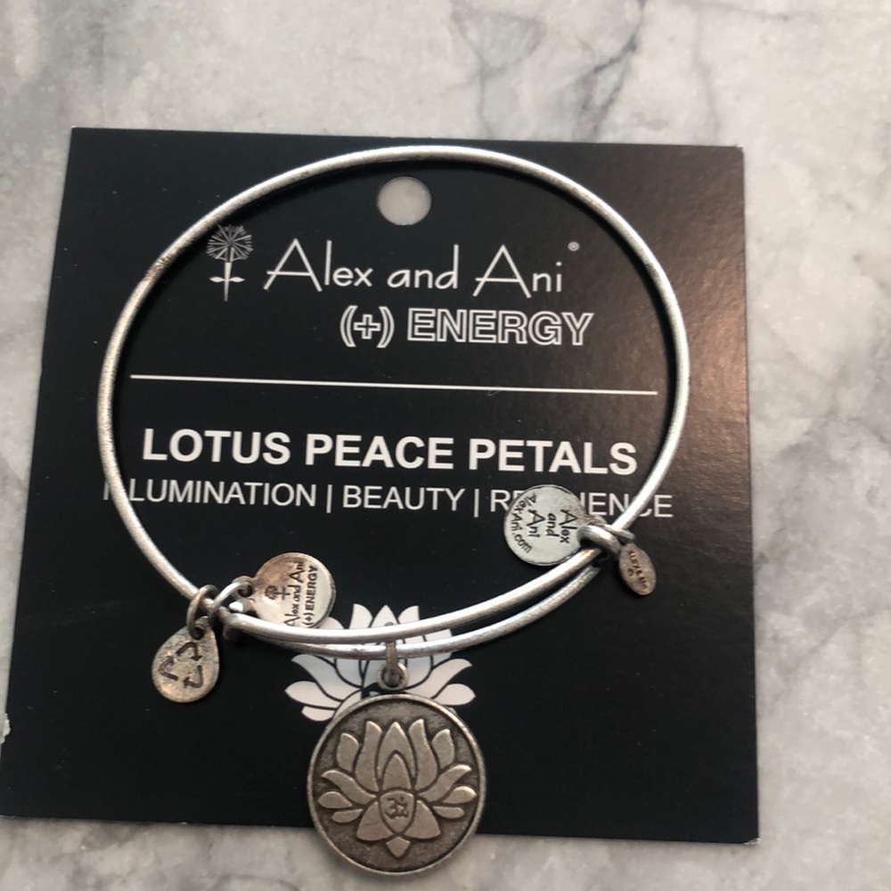 Alex and ani bracelet